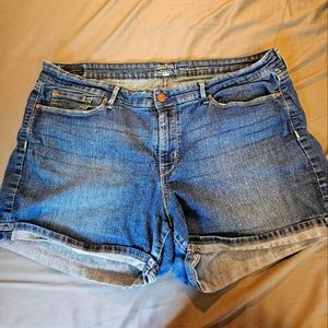 Levi's Size 22 Shorts